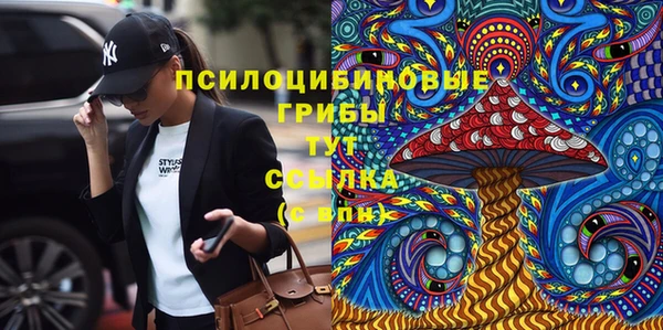 mdma Бородино